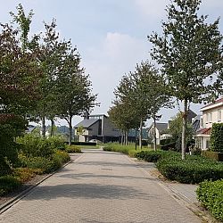 1504000751092004b77a548751d0792ff5e52a0ed7.jpg